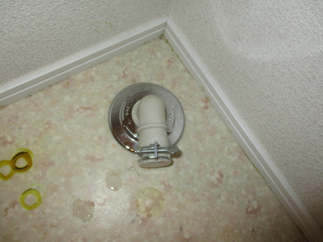 13/19 その他画像