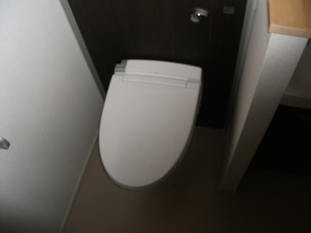 11/30 トイレ
