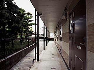 17/22 その他画像