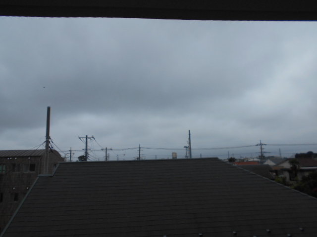 15/28 その他画像