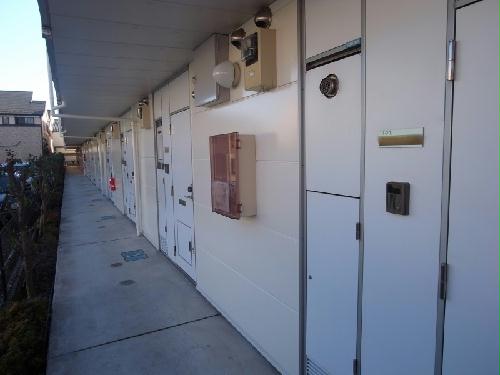 11/11 その他画像