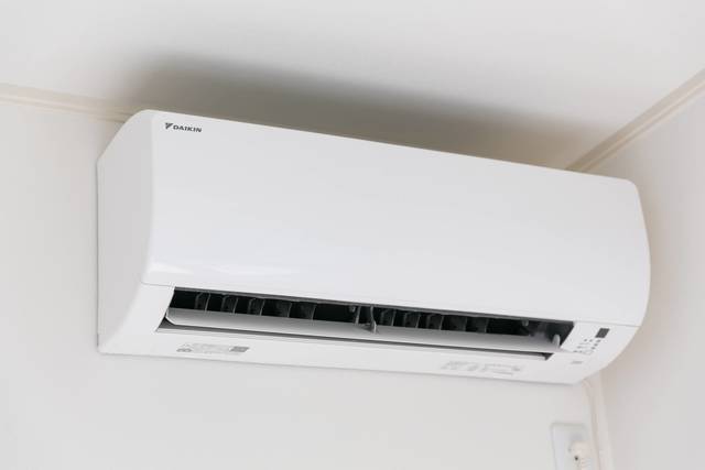 29/29 その他画像