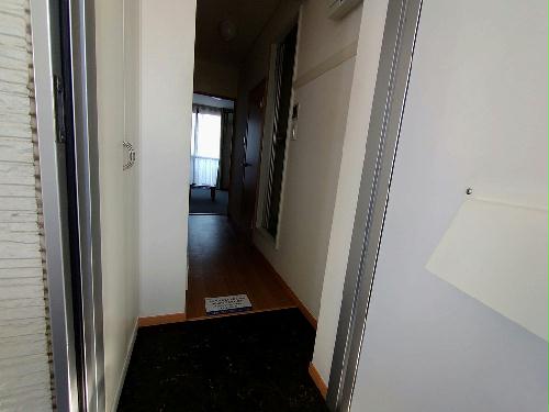 8/14 その他画像