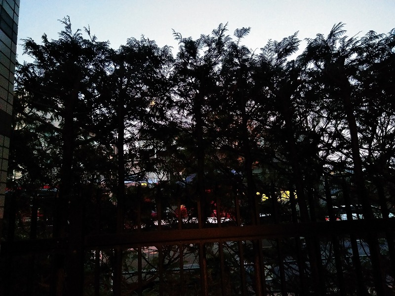 16/29 その他画像