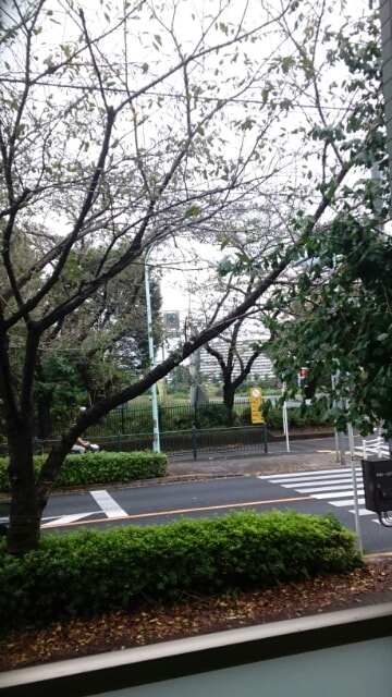 19/29 その他画像