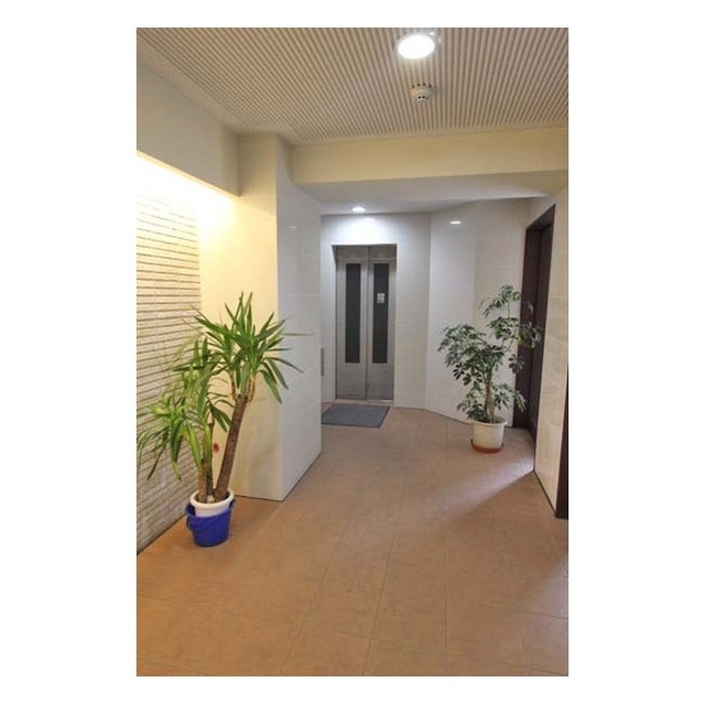 11/17 その他画像