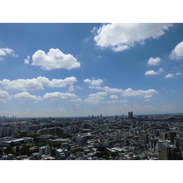 13/22 その他画像