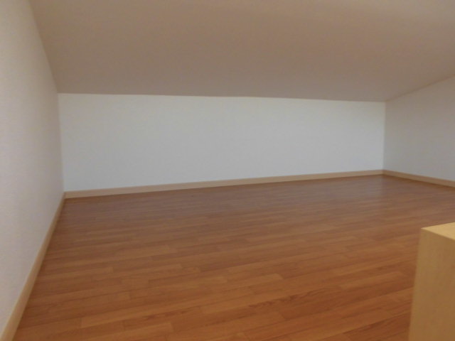 19/28 その他画像