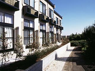 13/19 その他画像