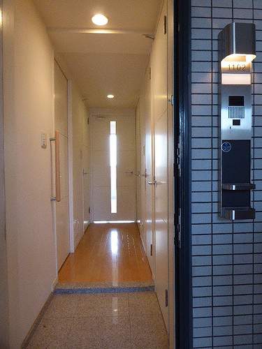 8/19 その他画像