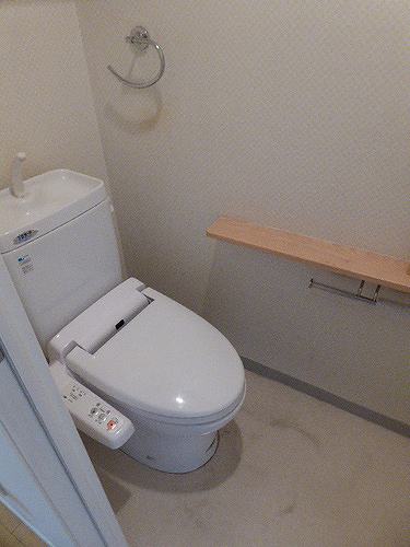 7/19 その他画像