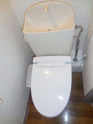 8/11 その他画像