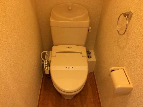 13/16 その他画像