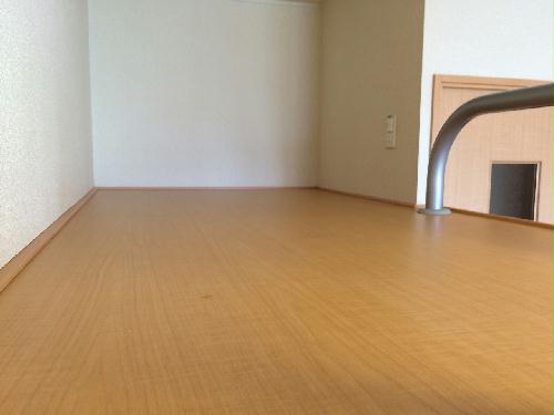 11/16 その他画像