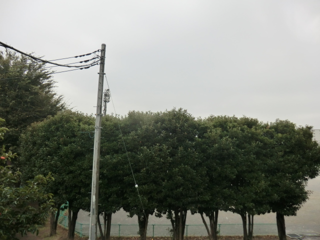 19/28 その他画像