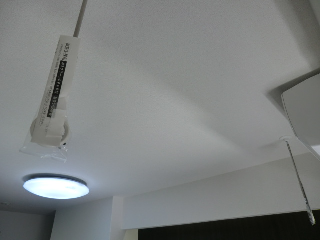 20/29 その他画像