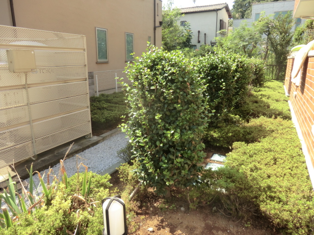 20/28 その他画像