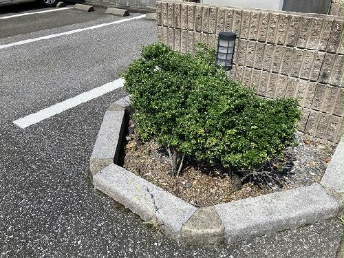 11/14 その他画像