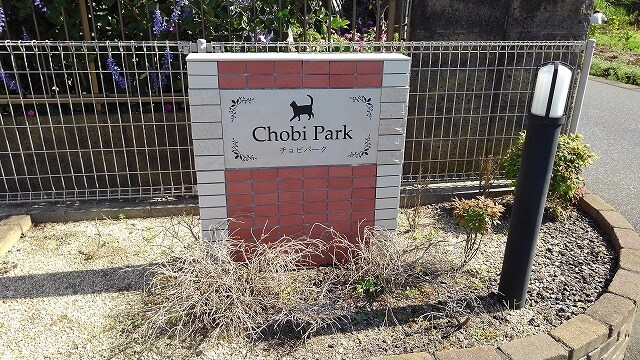 10/20 その他画像