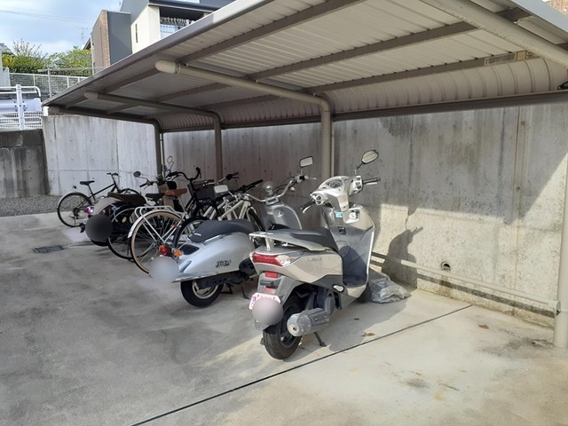 13/19 その他画像