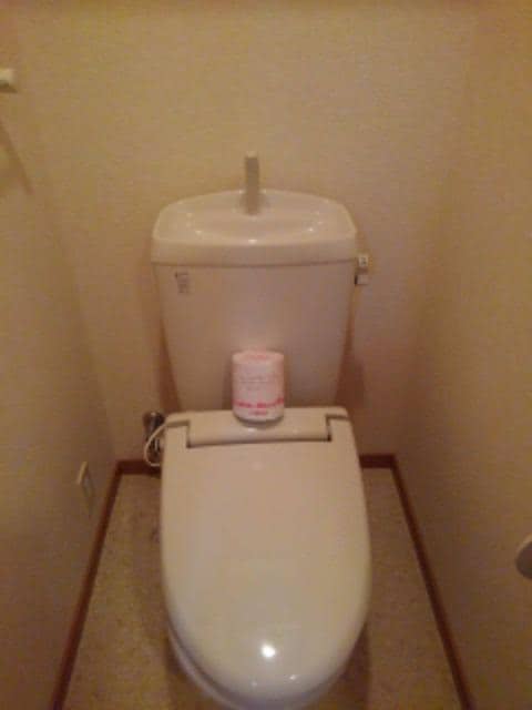 11/27 トイレ
