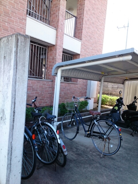 15/23 その他画像