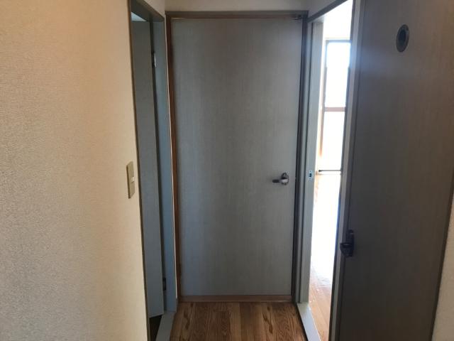 21/24 その他画像