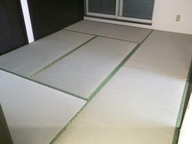 15/16 その他画像