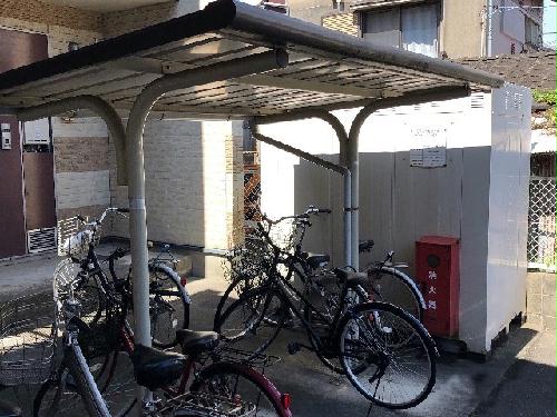 13/19 その他画像