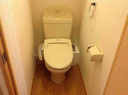 8/22 その他画像