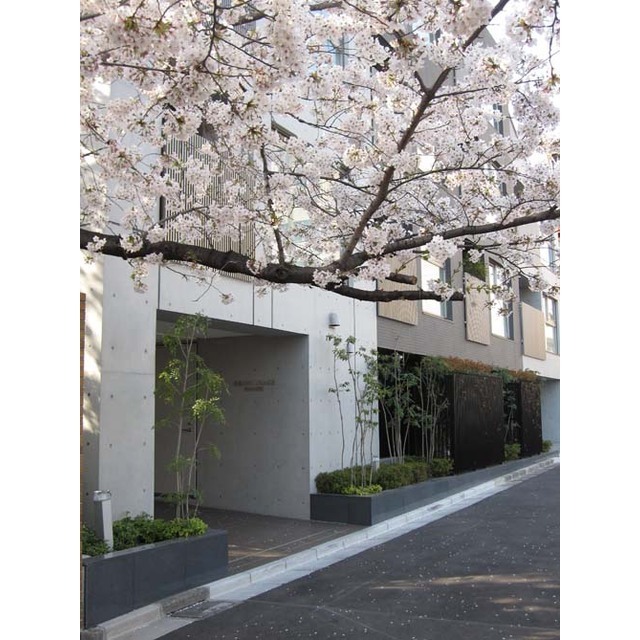 18/20 エントランス