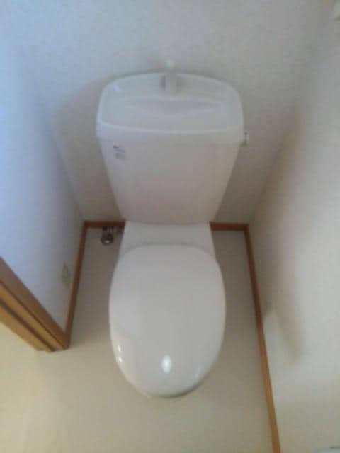 11/24 トイレ