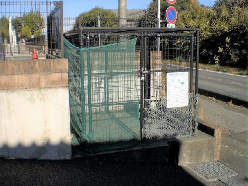 11/15 その他画像