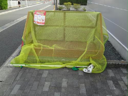 11/14 その他画像