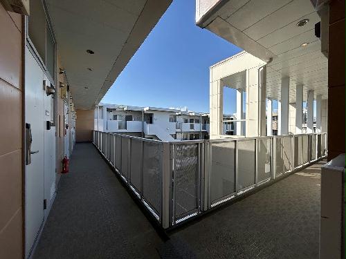 11/21 その他画像