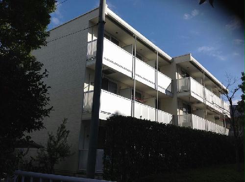 11/12 その他画像