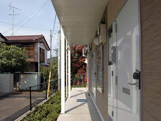 11/11 その他画像