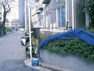 7/10 その他画像