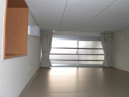 13/15 その他画像