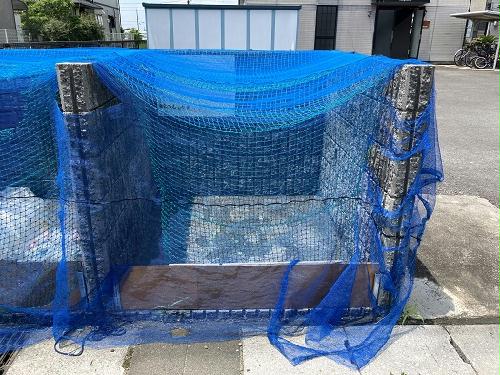 11/14 その他画像