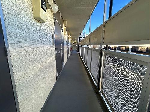 5/17 その他画像