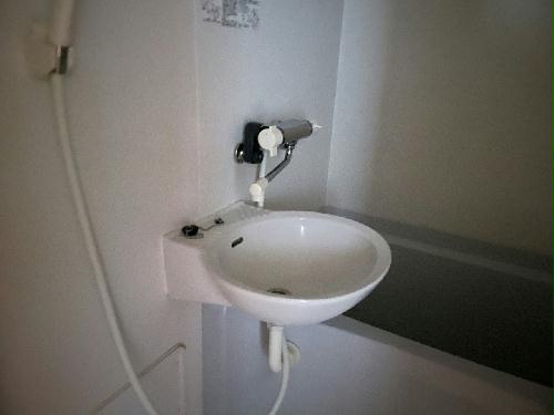 11/19 その他画像