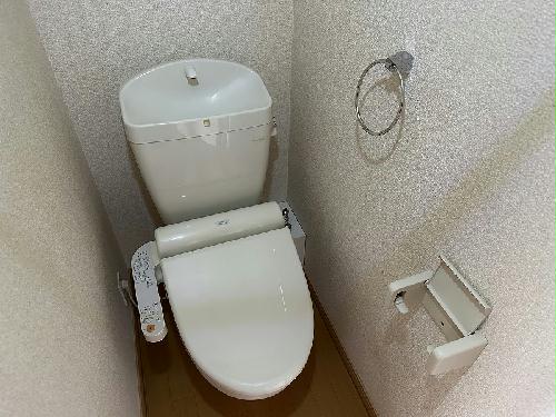 5/22 トイレ