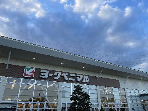 12/22 その他画像