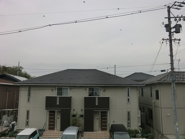 16/30 その他画像