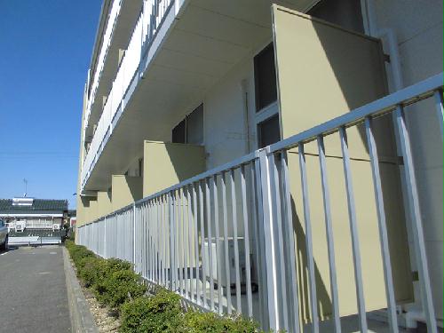 11/13 その他画像