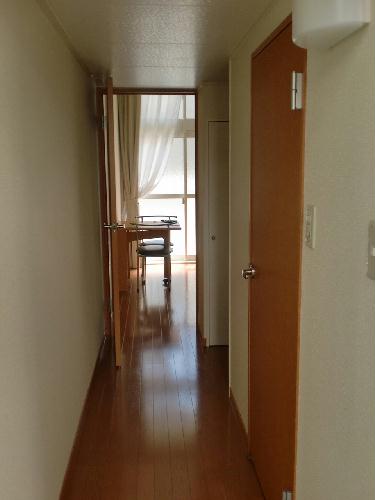 8/13 その他画像