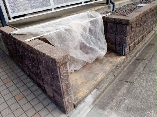 11/17 その他画像