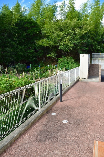 14/19 その他画像