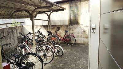 12/17 その他画像